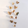 3D Hollow Butterfly Wall Decor (12 Pieces)